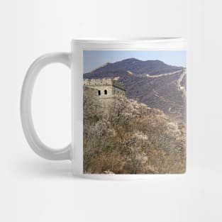 850_0560 Mug